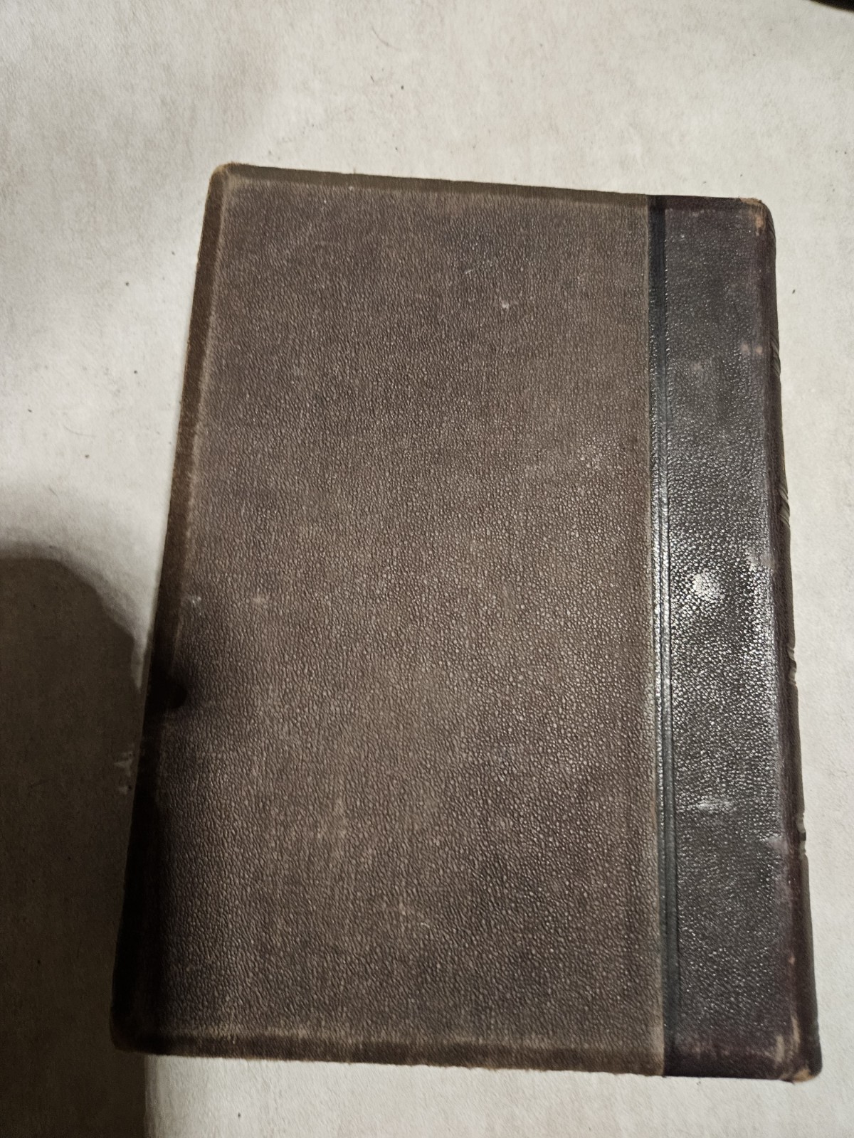 Special Pathology and Diagnostics, with Therapeutic Hints by C. G. Raue 1874