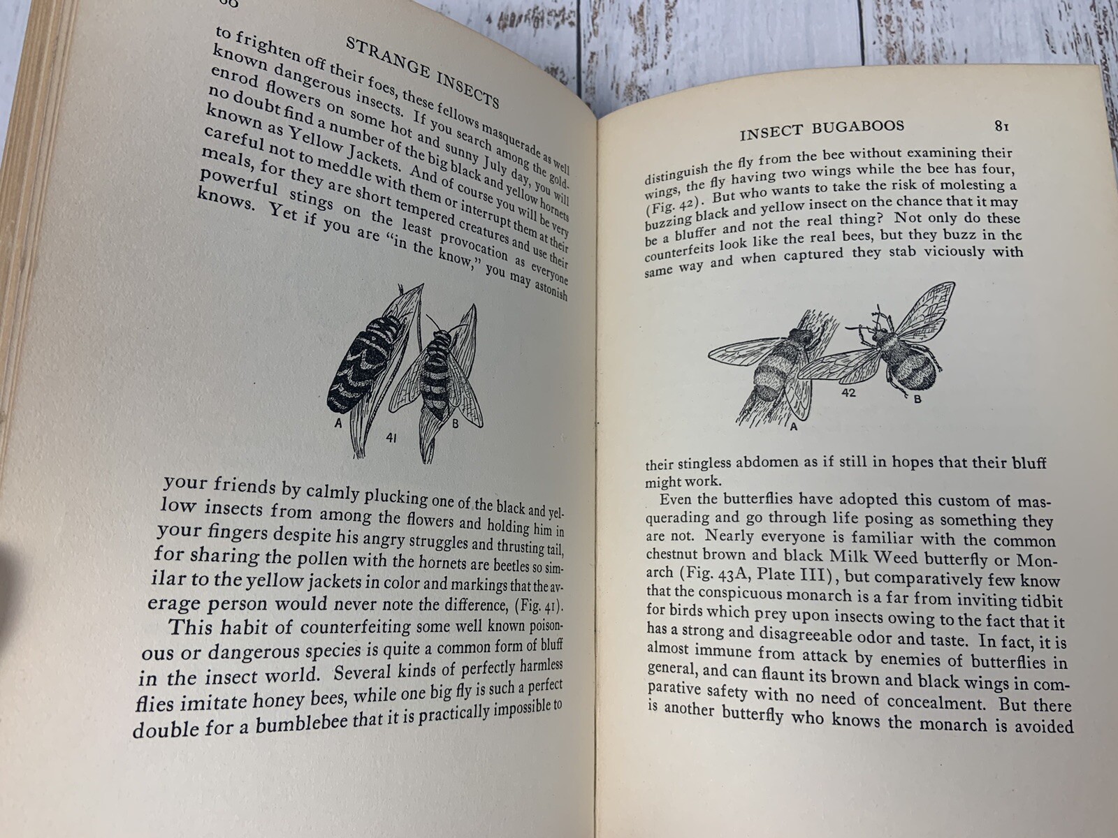 Strange Insects and Their Stories by A. Hyatt Verrill 1937 U.S.A. 205 Pages
