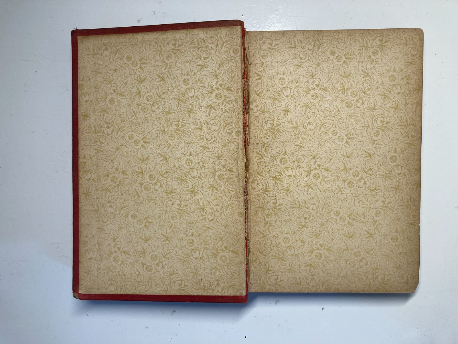 1890 Alice’s Adventures in Wonderland Worthington Red Cloth Tenniel Gilt Rare