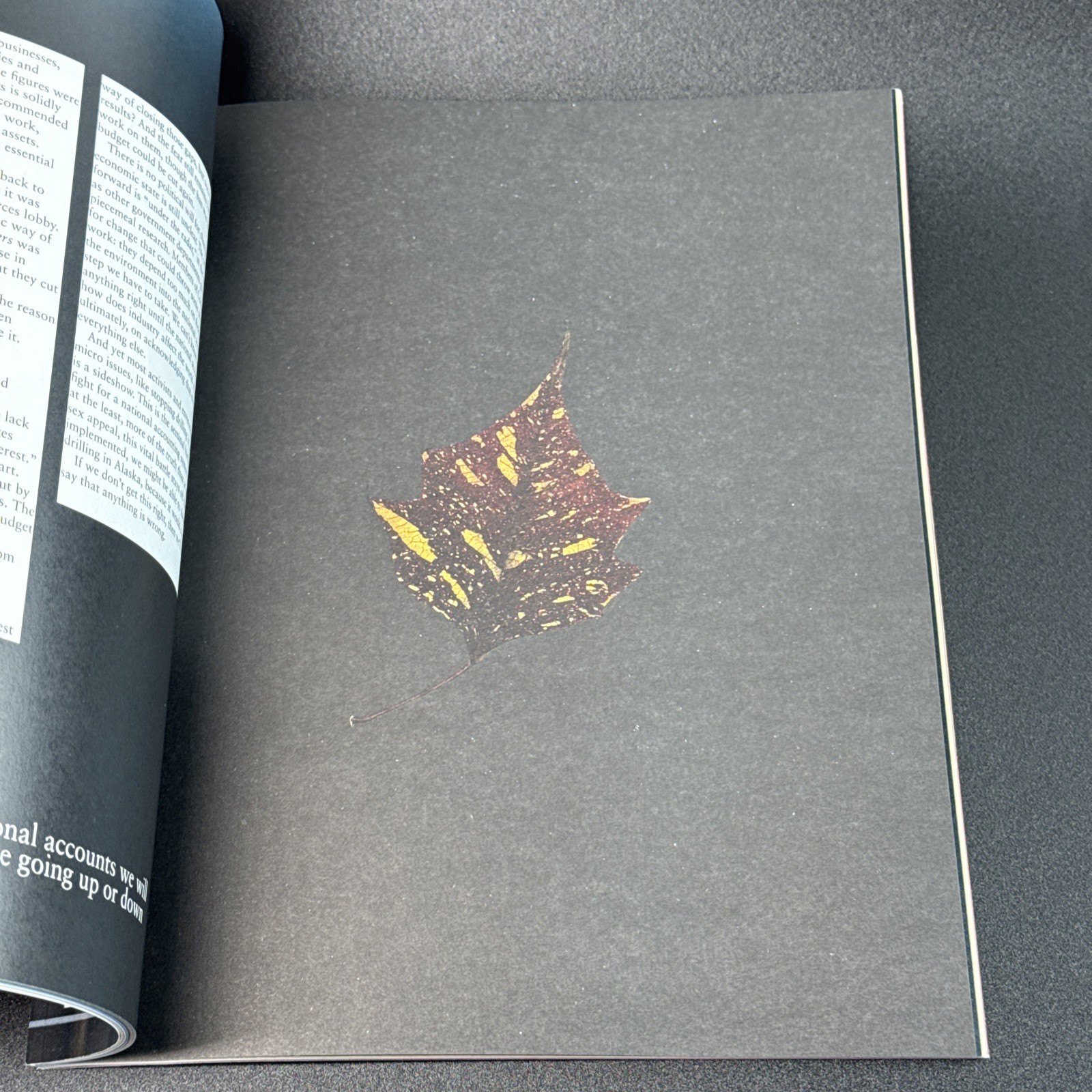 Adbusters Magazine #55 September October Volume 12 Number 5 No Future Issue