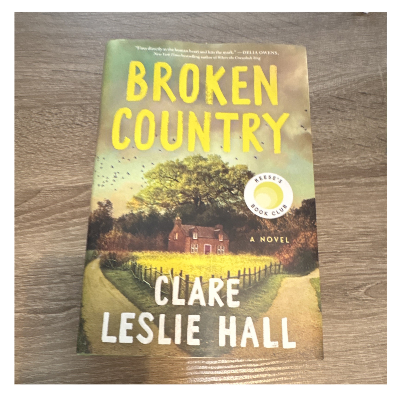 Broken Country by Clare Leslie Hall Hardcover 2023 St. Martin&rsquo;s Press Dust Jack…