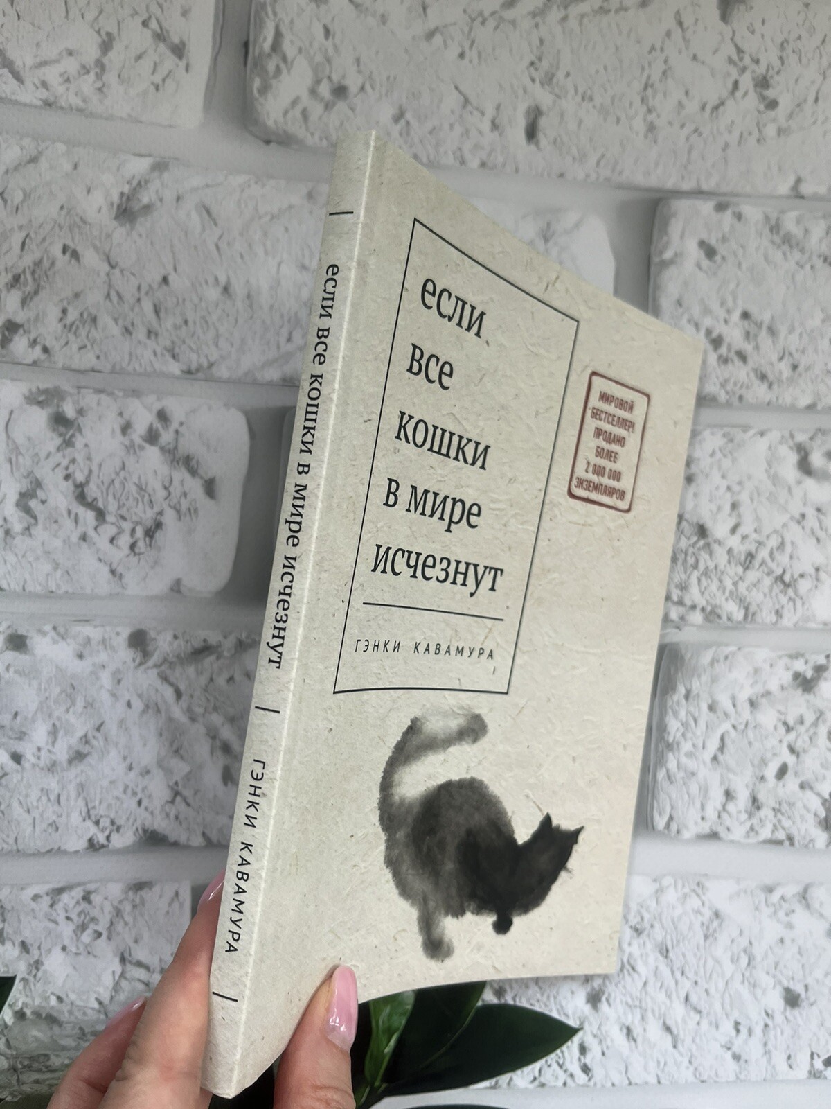 Японская проза Set 5 Book Гэнки Кавамура Макото Синкай Кошки Genki Kawamura