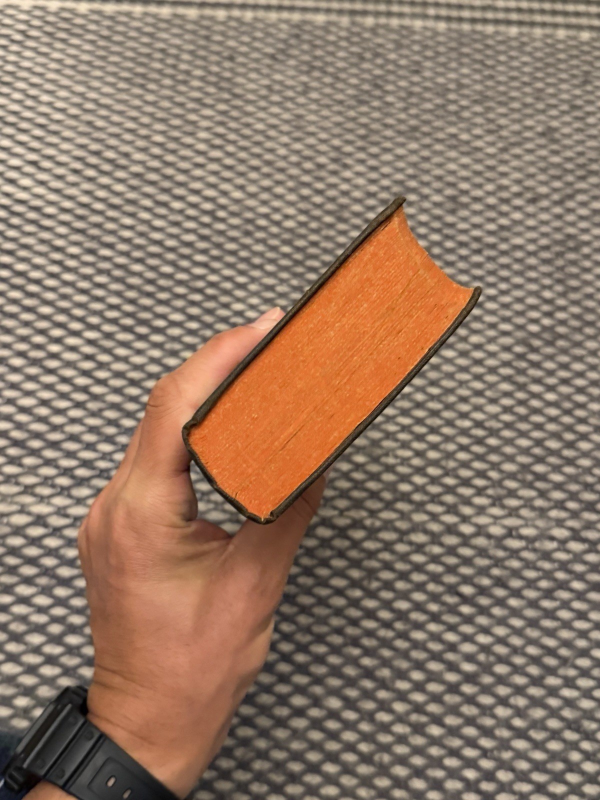 THE HOLY BIBLE CONTAINING THE OLD AND NEW TESTAMENTS Original Tongues 1912