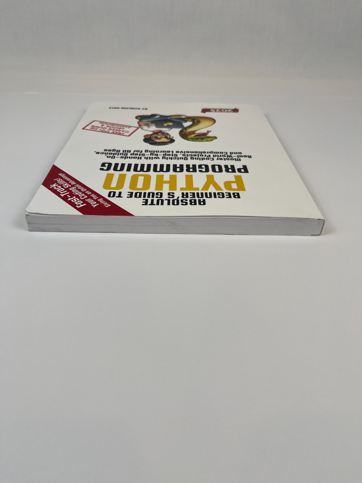 Absolute Beginner&rsquo;s Guide to Python Programming: Master Coding 2025 edition Hale
