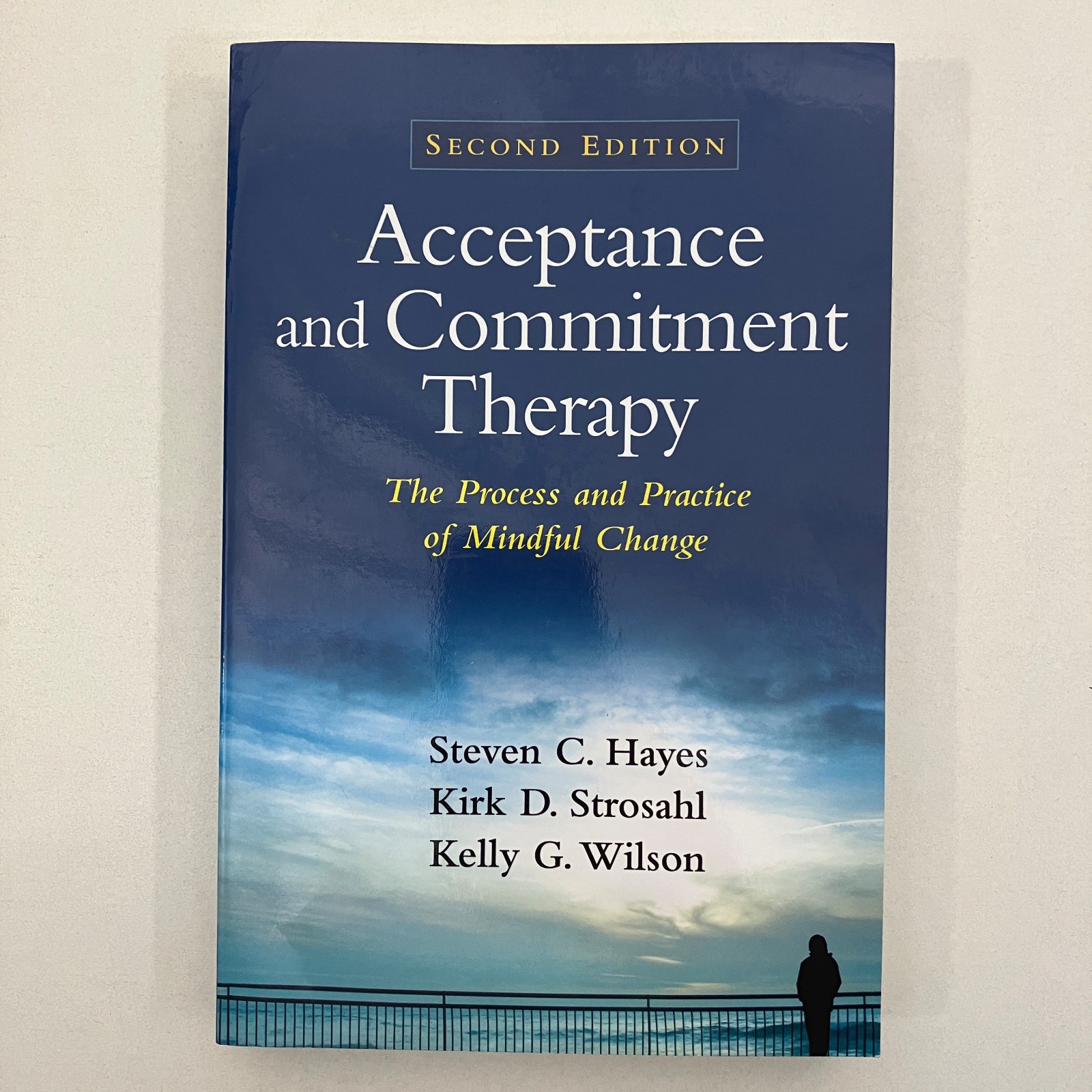 Acceptance and Commitment Therapy Mindful Change by Steven Hayes 2nd Ed 2016 TPB
