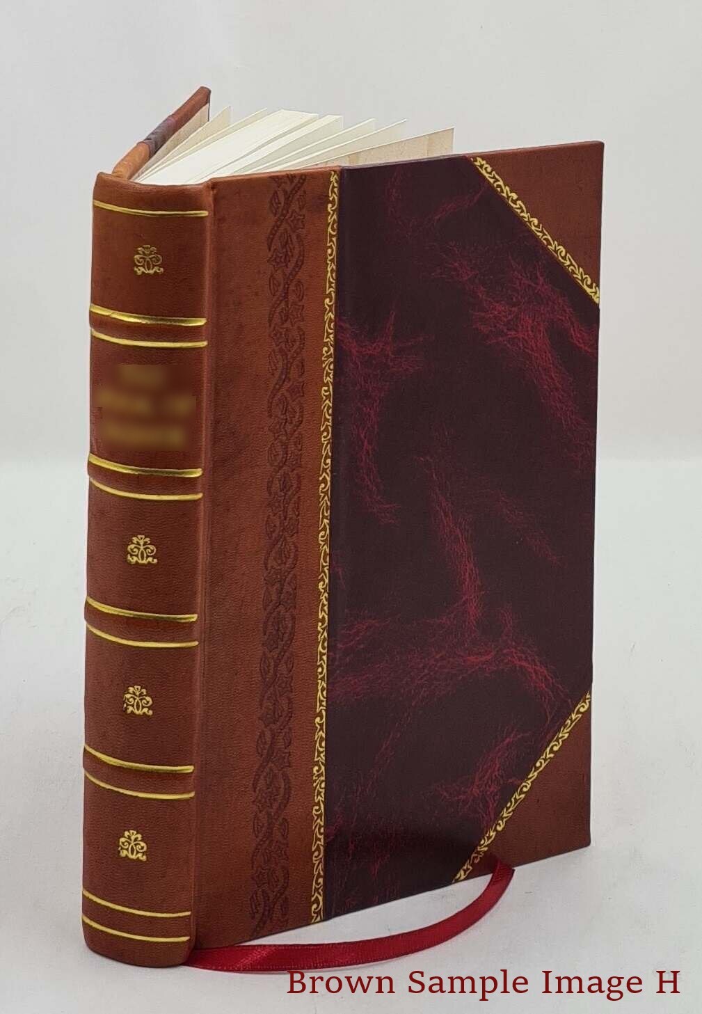 Clinical Therapeutics 1885 By Dujardin-Beaumetz, E. P. Hurd(Tr.) [Leather Bound]