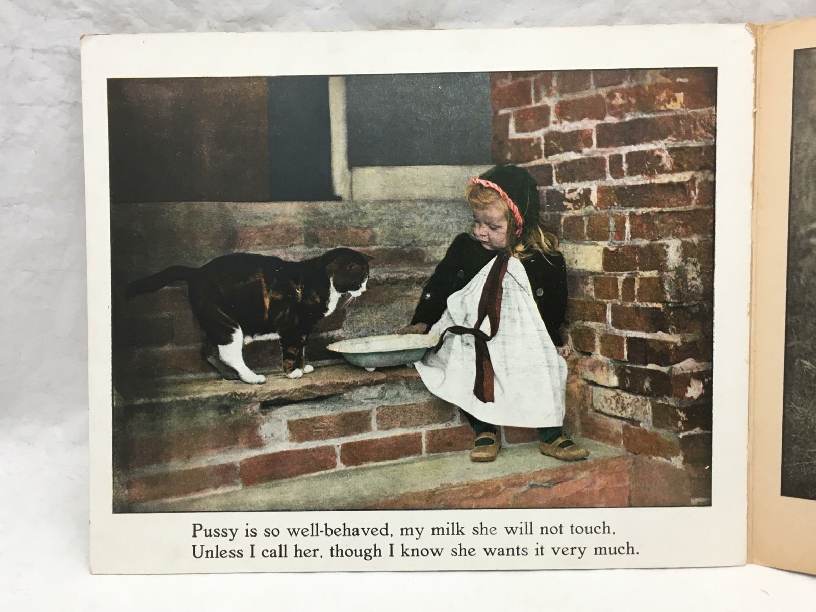 Adorable Antique Children&rsquo;s Book COUNTRY PLAYMATES Great Color Images 12.25×9.75