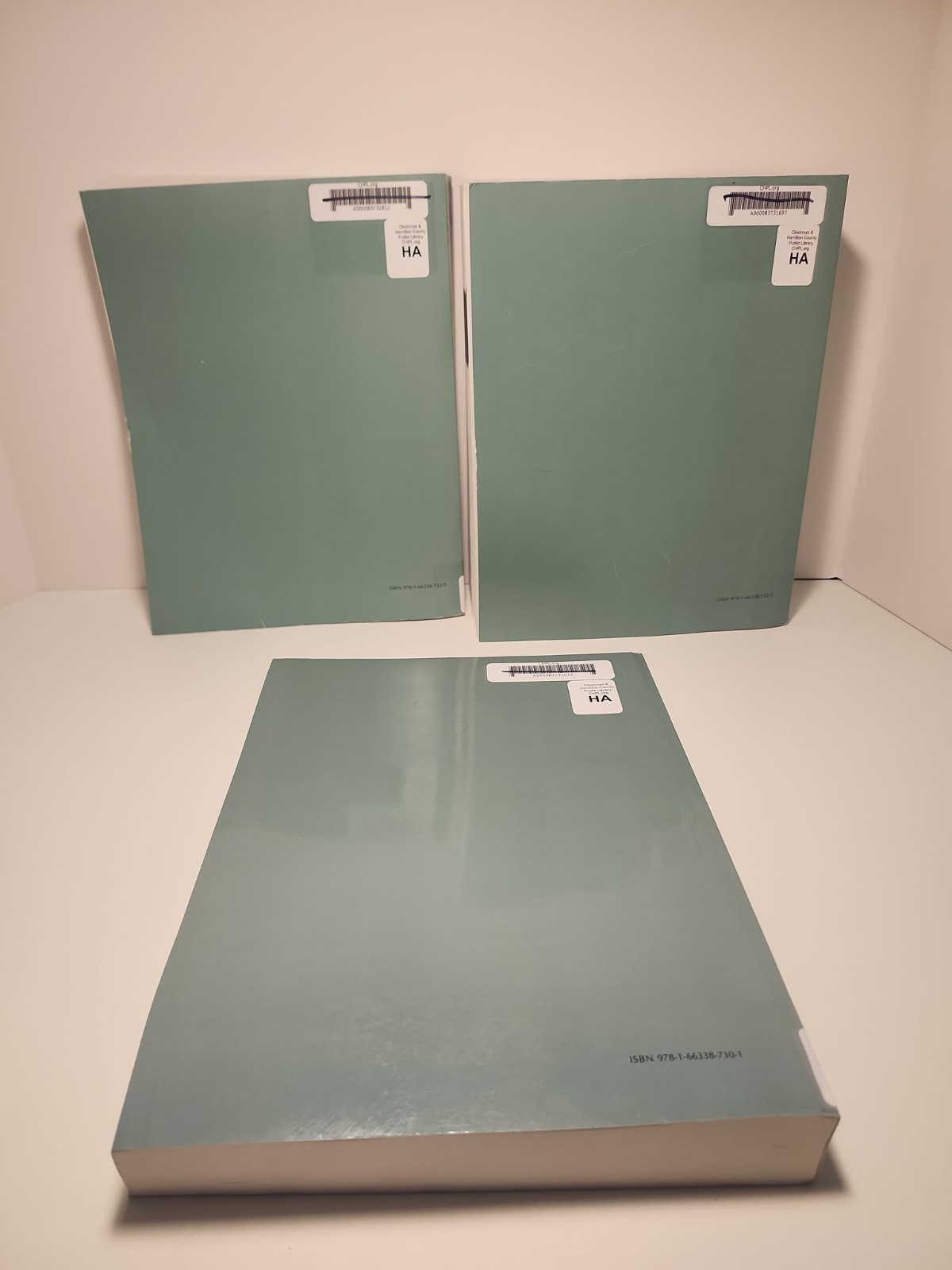 2024 Lexis Nexis Ohio Family Law, Elder Law Handbooks