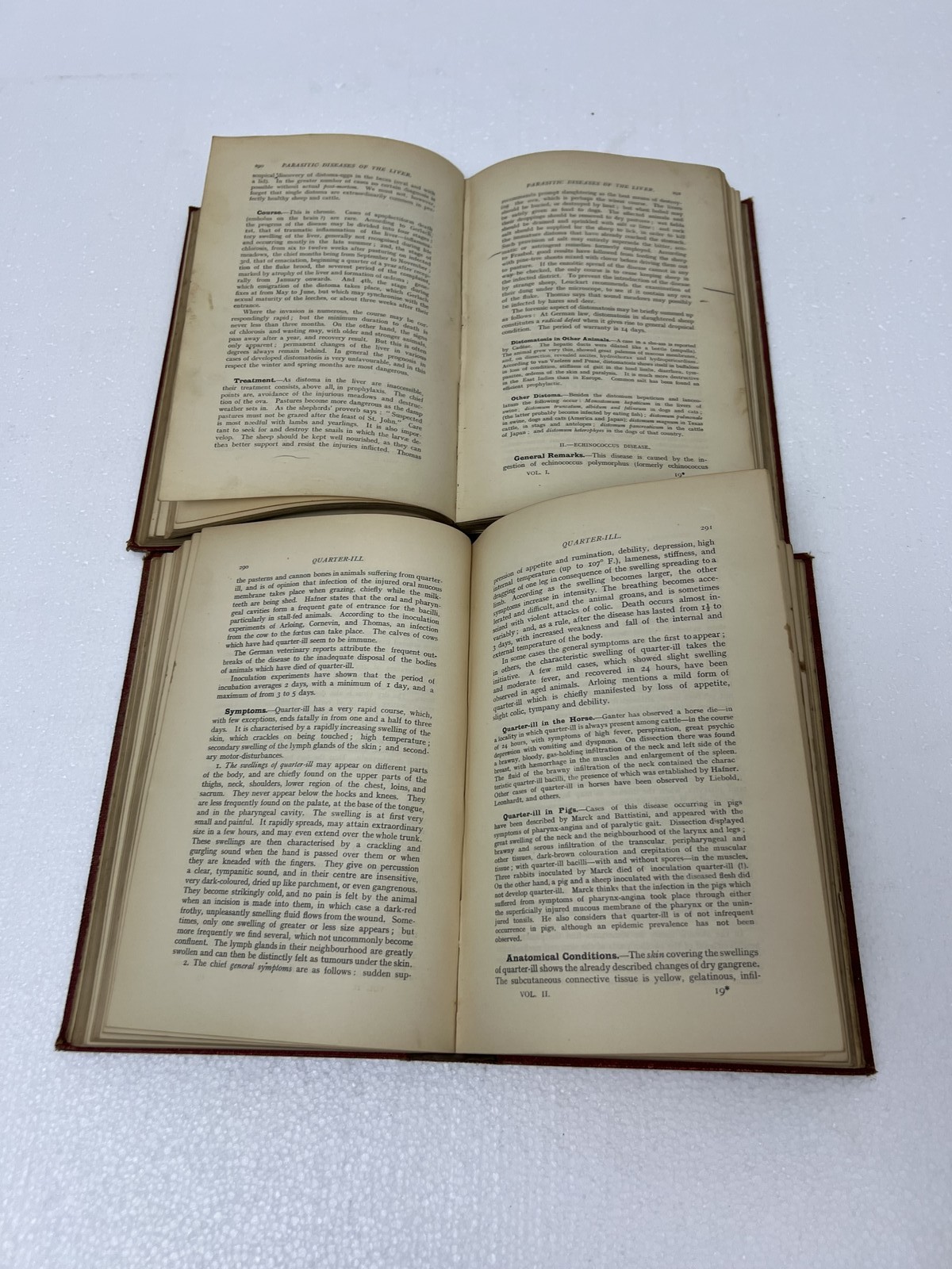 Friedberger & Frohner&rsquo;s Veterinary Pathology 1909 2 Vol Set MH Hayes farm 6th Ed