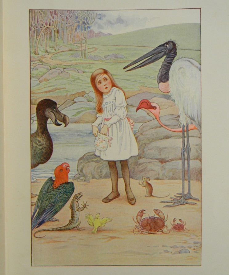ALICE in Wonderland FIRST EDITION uk COLOR PLATES Illustrated MILLICENT SOWERBY