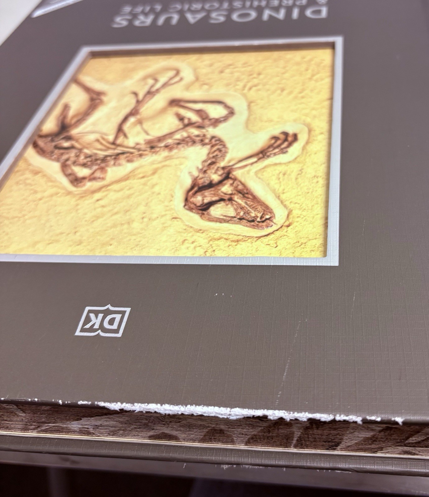 Dk Dinosaurs and Prehistoric Life Exclusive Edition with Deluxe Foil Print