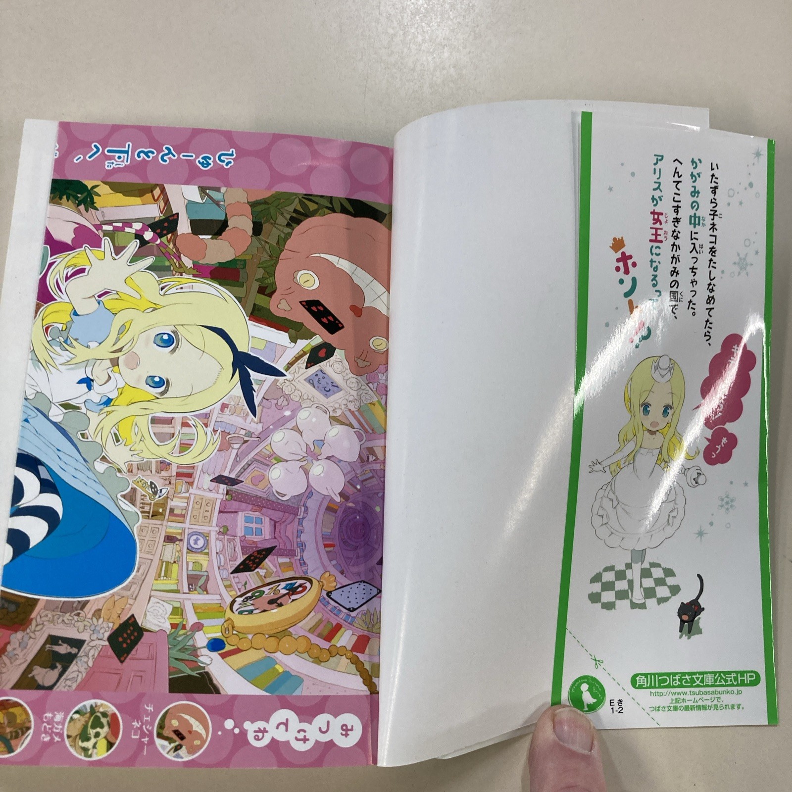 Alice&rsquo;s Adventures in Wonderland and Through the Looking Glass Japanese SC 2010