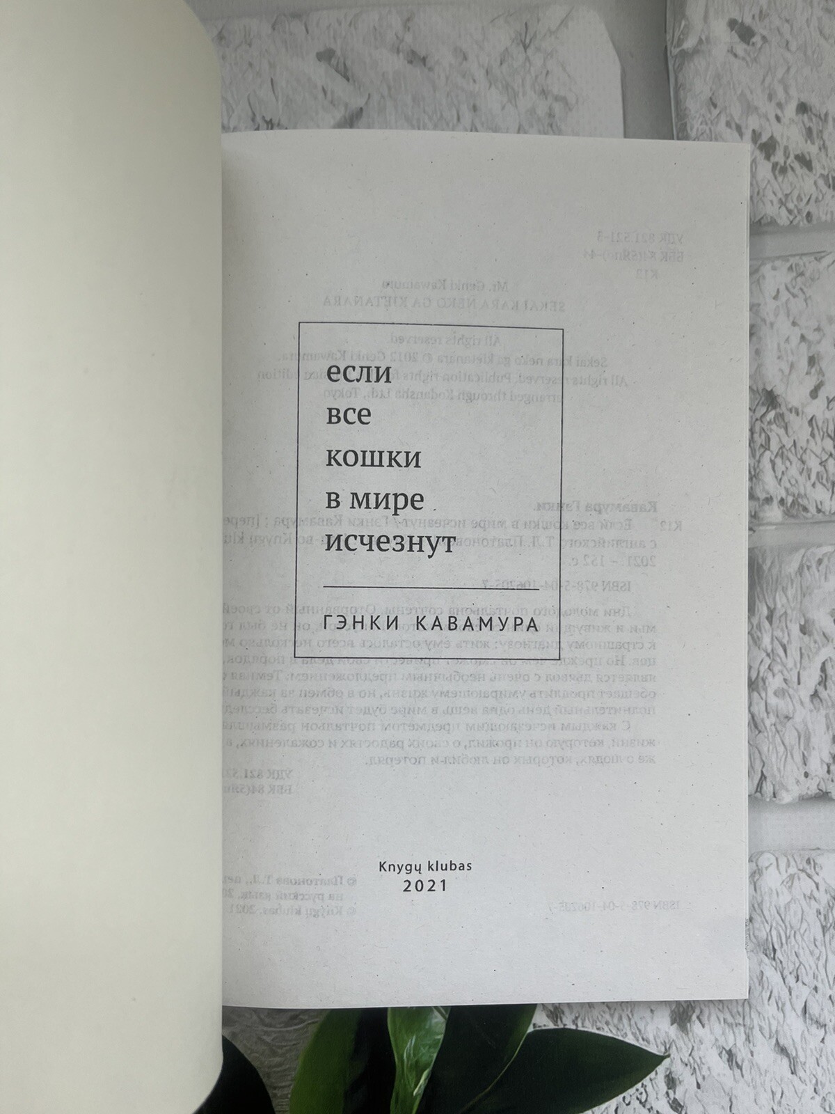 Японская проза Set 5 Book Гэнки Кавамура Макото Синкай Кошки Genki Kawamura