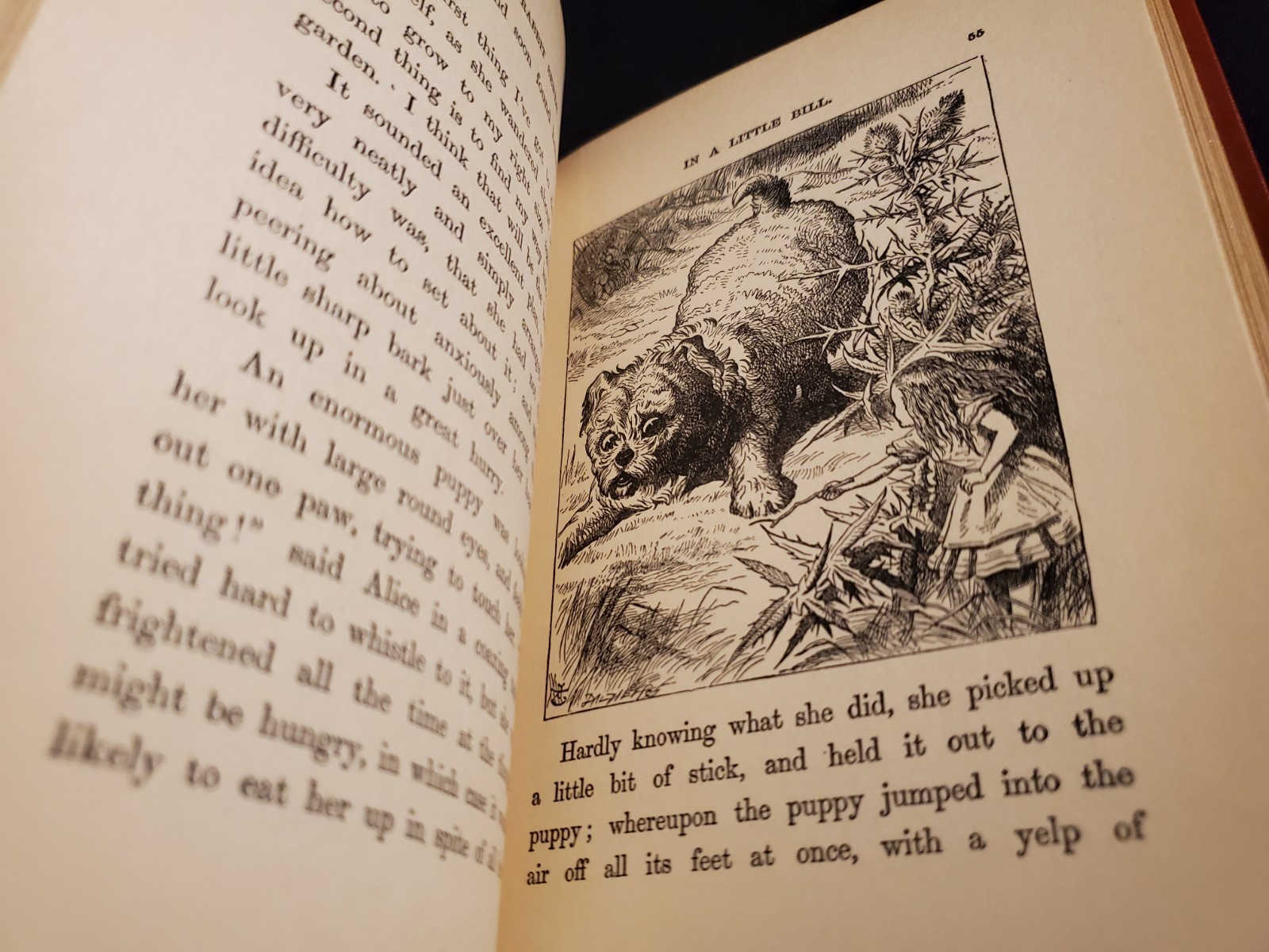 Lewis Carroll ALICE&rsquo;S ADVENTURES IN WONDERLAND ~ D. Appleton & Co ~ 1927 Fairy
