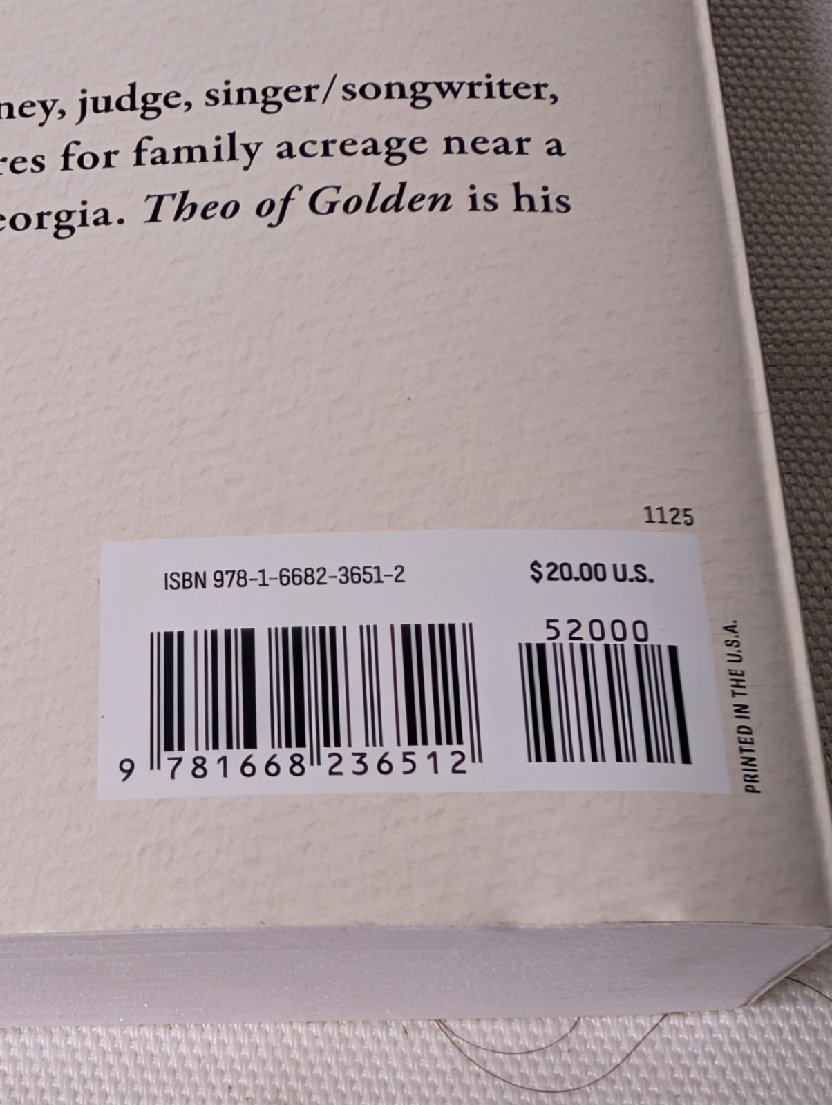 Theo of Golden : A Novel by Allen Levi (2025, Trade Paperback)