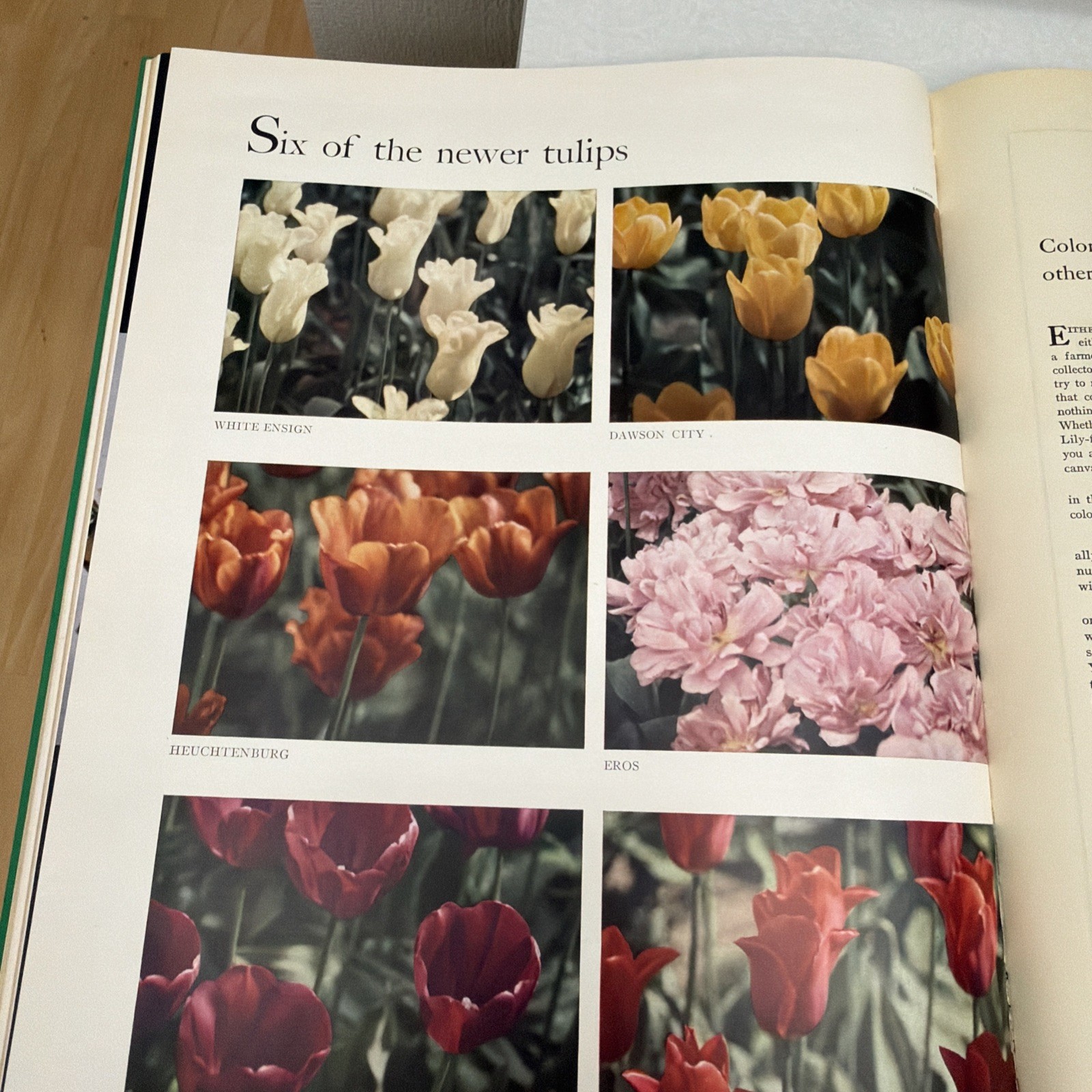 HOUSE & GARDEN BOOK OF GARDENING Richardson Wright CONDE NAST 1940, HC
