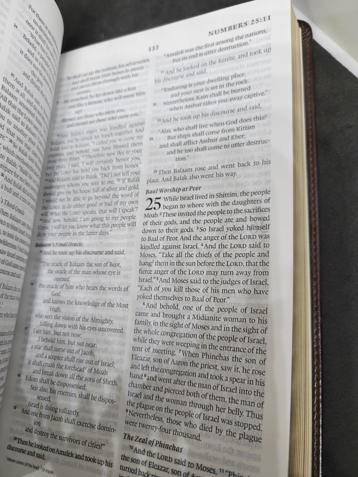 ESV THINLINE BIBLE TRUTONE Crossway Bibles Holy Bible