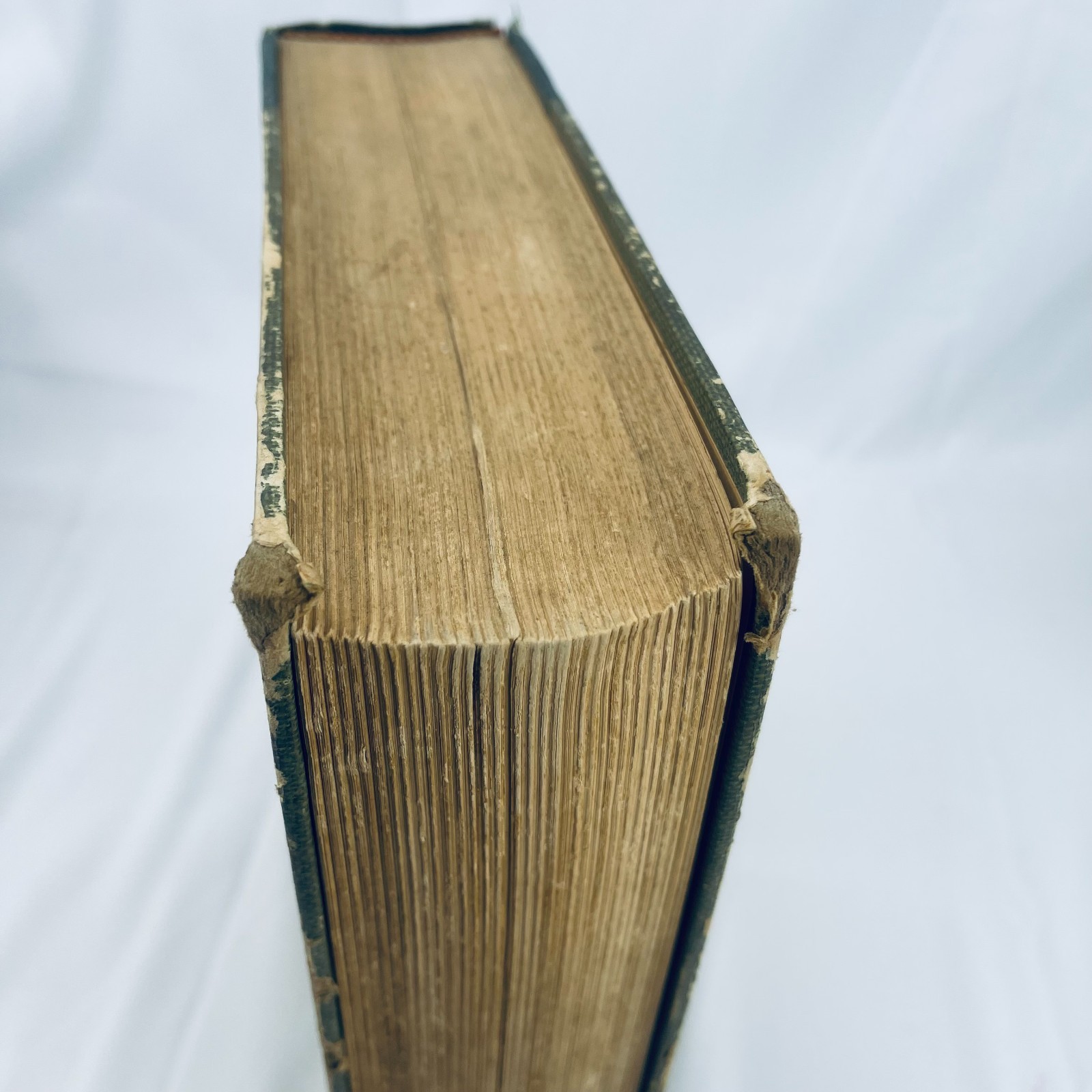 The New Hunters Encyclopedia editor Raymond R. Camp 1972 Third Revised Edition