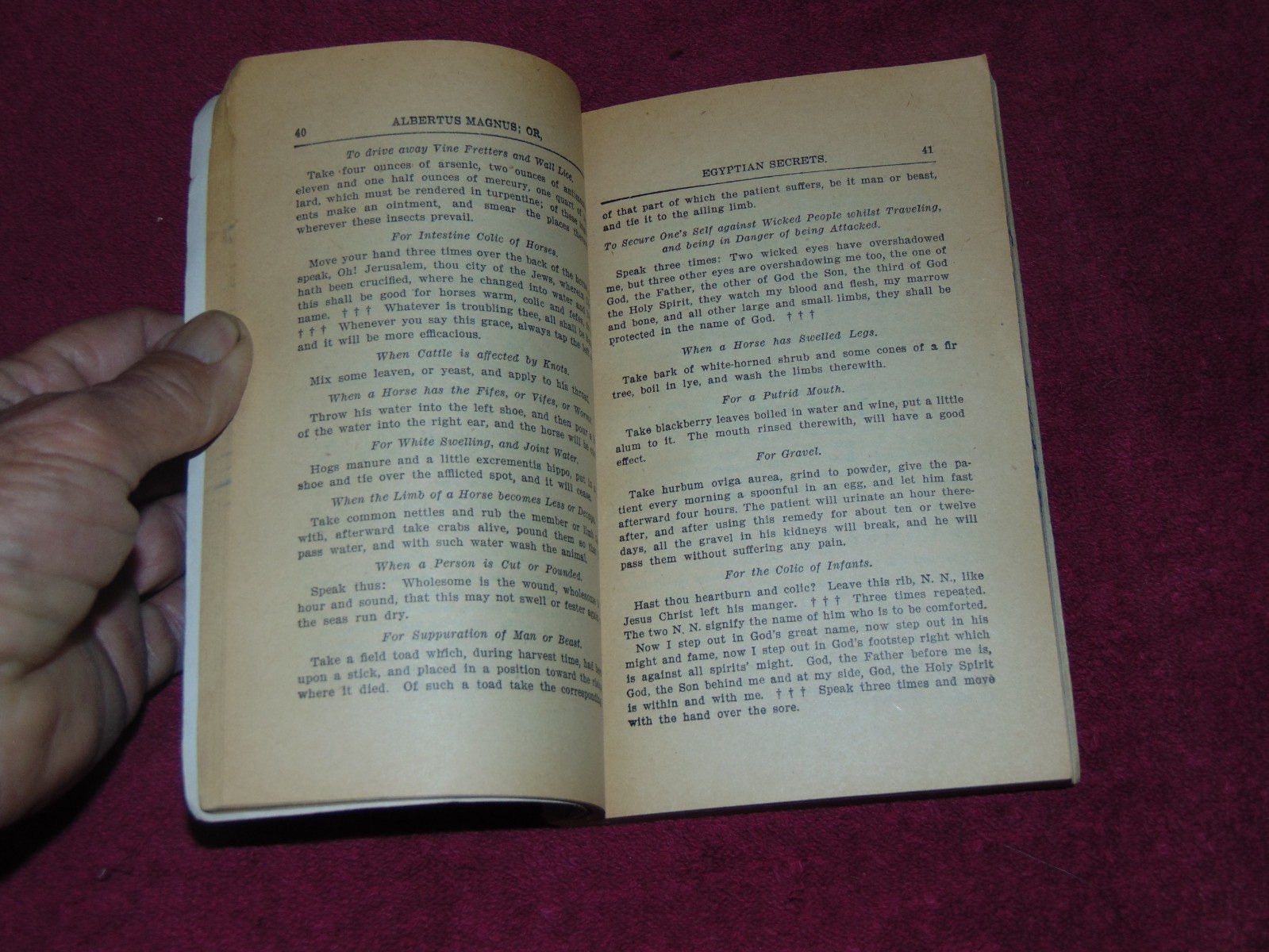 « ALBERTUS MAGNUS – EGYPTIAN SECRETS or WHITE AND BLACK ART FOR MAN AND BEAST »