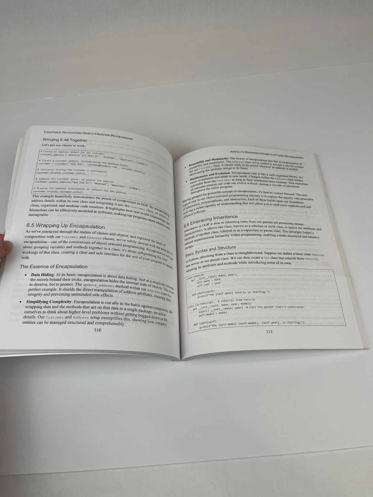 Absolute Beginner&rsquo;s Guide to Python Programming: Master Coding 2025 edition Hale