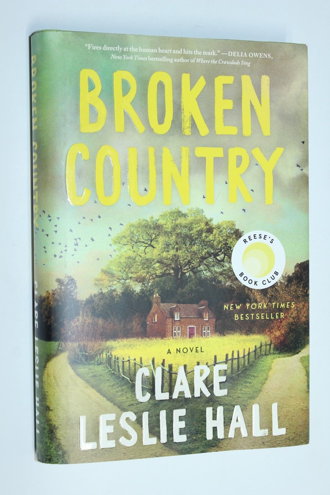 Broken Country (Reese&rsquo;s Book Club) by Clare Leslie Hall (2025, Hardcover)