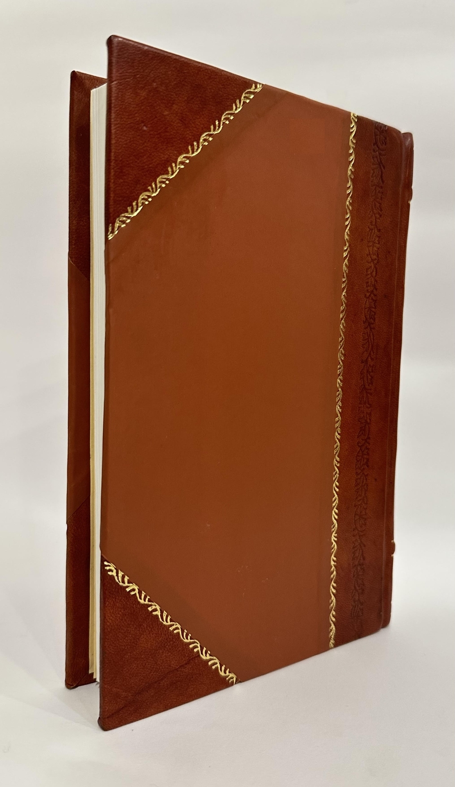 A Year for France; (1919) [Leather Bound]