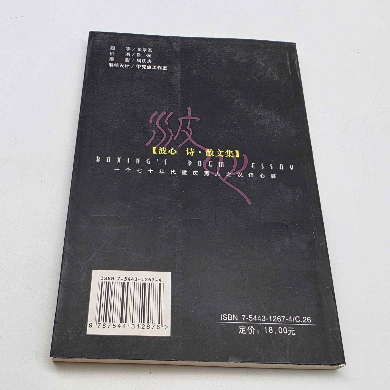 波心 Bo Xin Chinese Poetry Prose Collection 2004 Hainan Publishing Xu Hongbo 许洪波