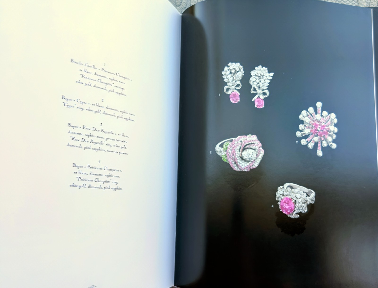 DIOR JOAILLERIE (2013) Hardcover/Color 67 Page Coffee Table Book ~ 12.25&Prime; x 9.5&Prime;