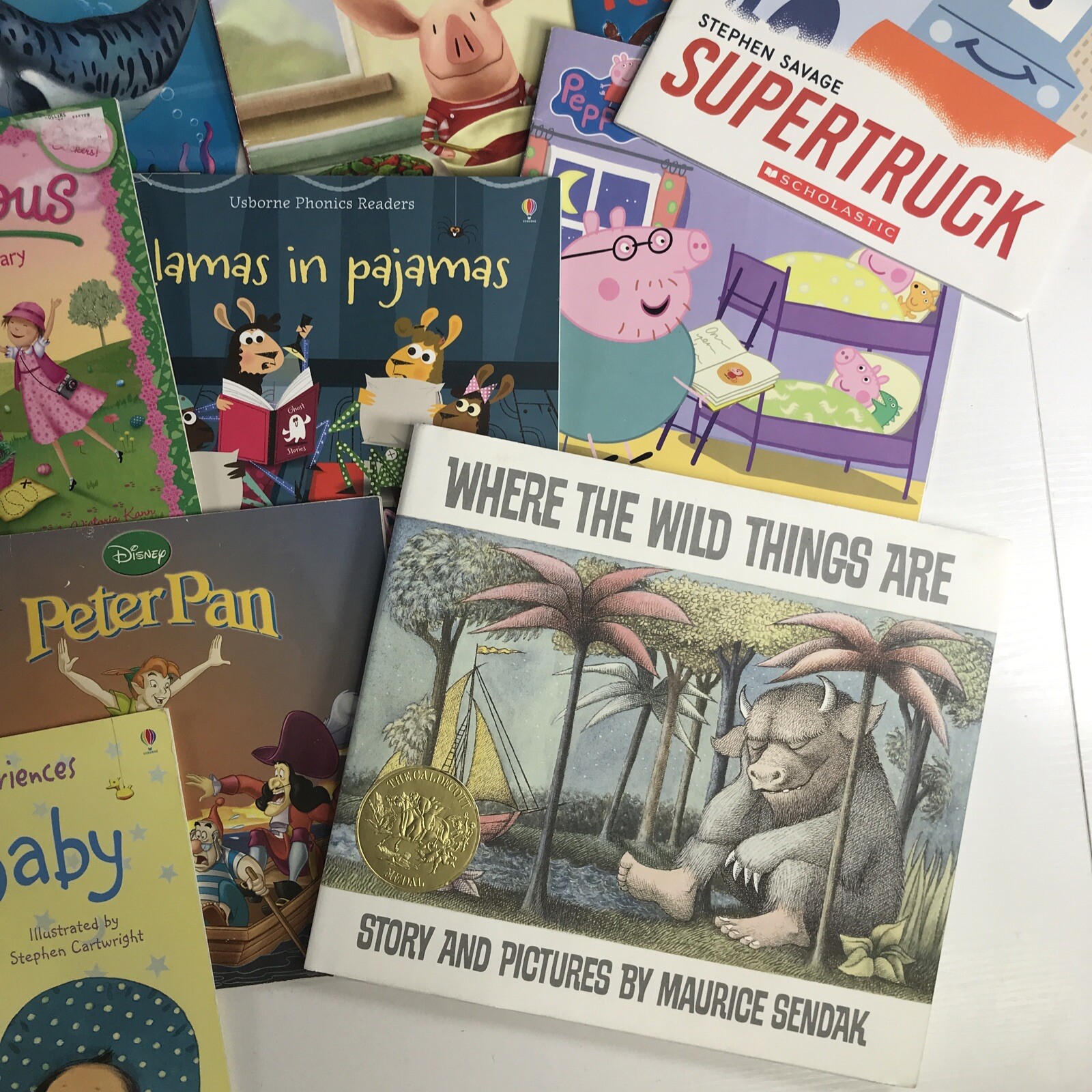 Random Lot of 20 – Books for Children&rsquo;s/ Kids/ Toddler Babies/Preschool/Daycare
