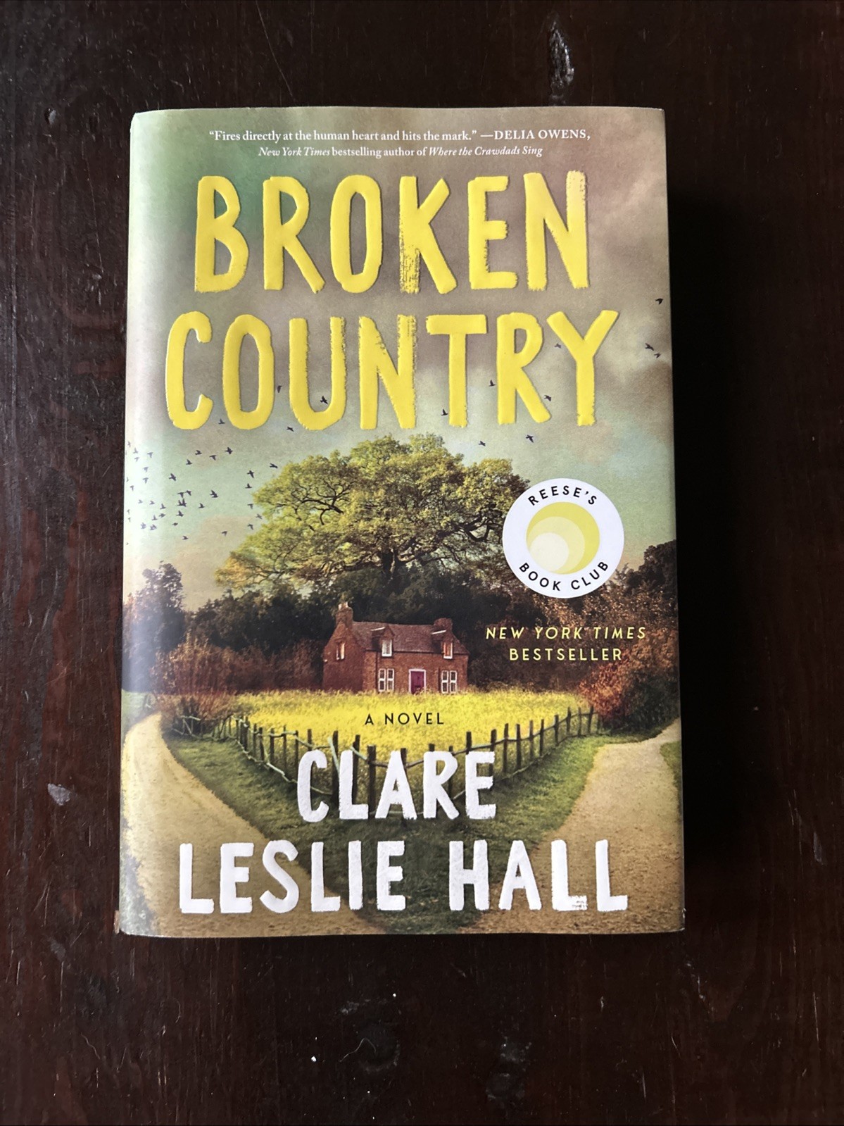 Broken Country (Reese&rsquo;s Book Club) by Clare Leslie Hall (2025, Hardcover)