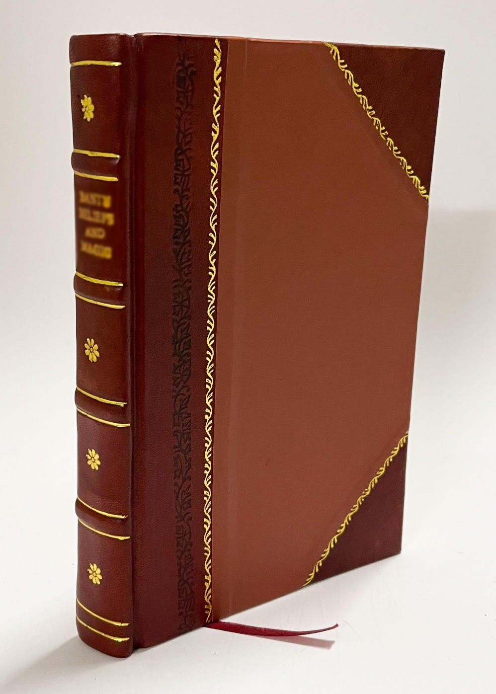 The Chromolithograph. With Which Is Incorporated Nature and Art [Leather Bound]