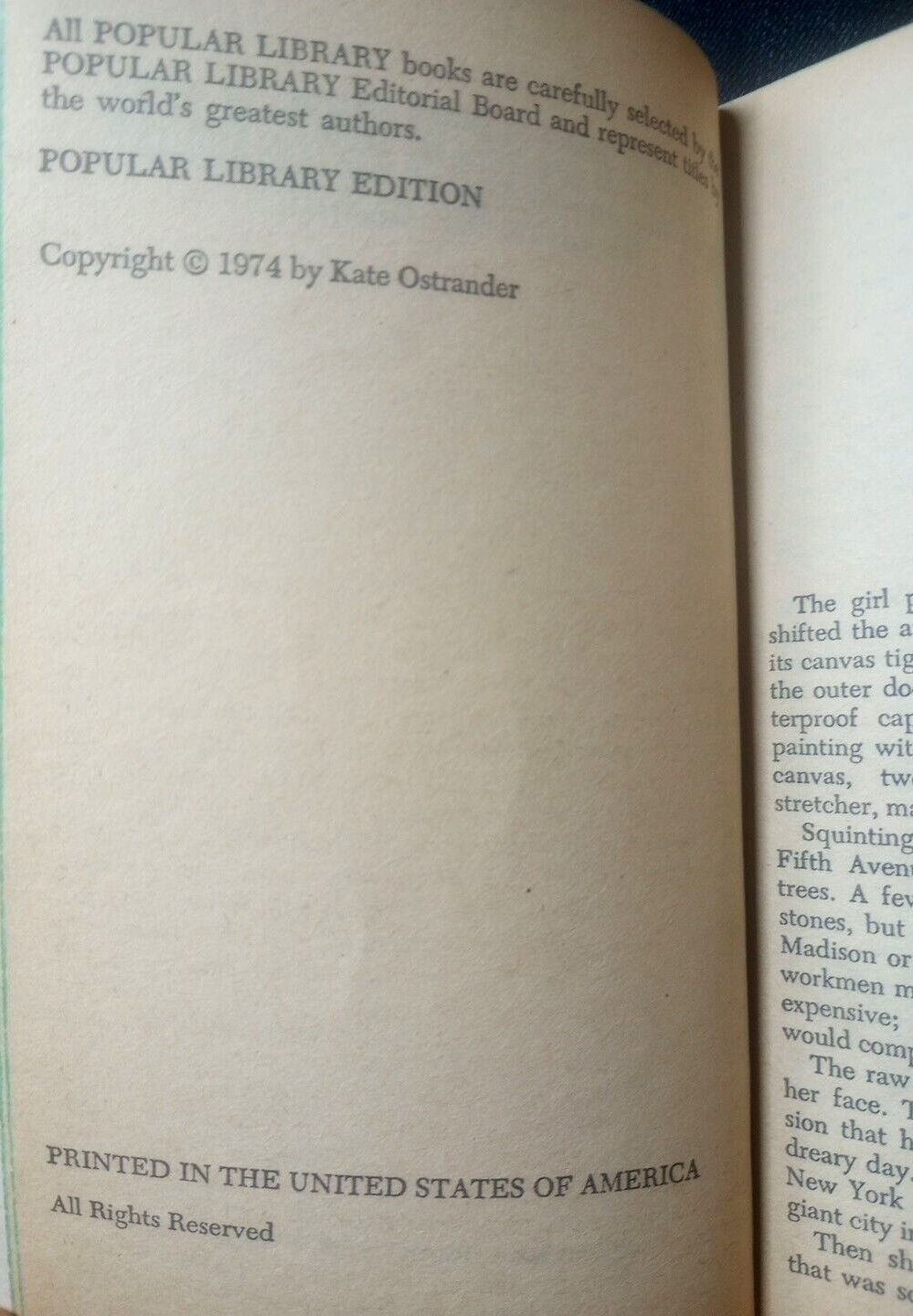 The Image Seller by Kate Ostrander 1974 Vintage Queen Size Gothic