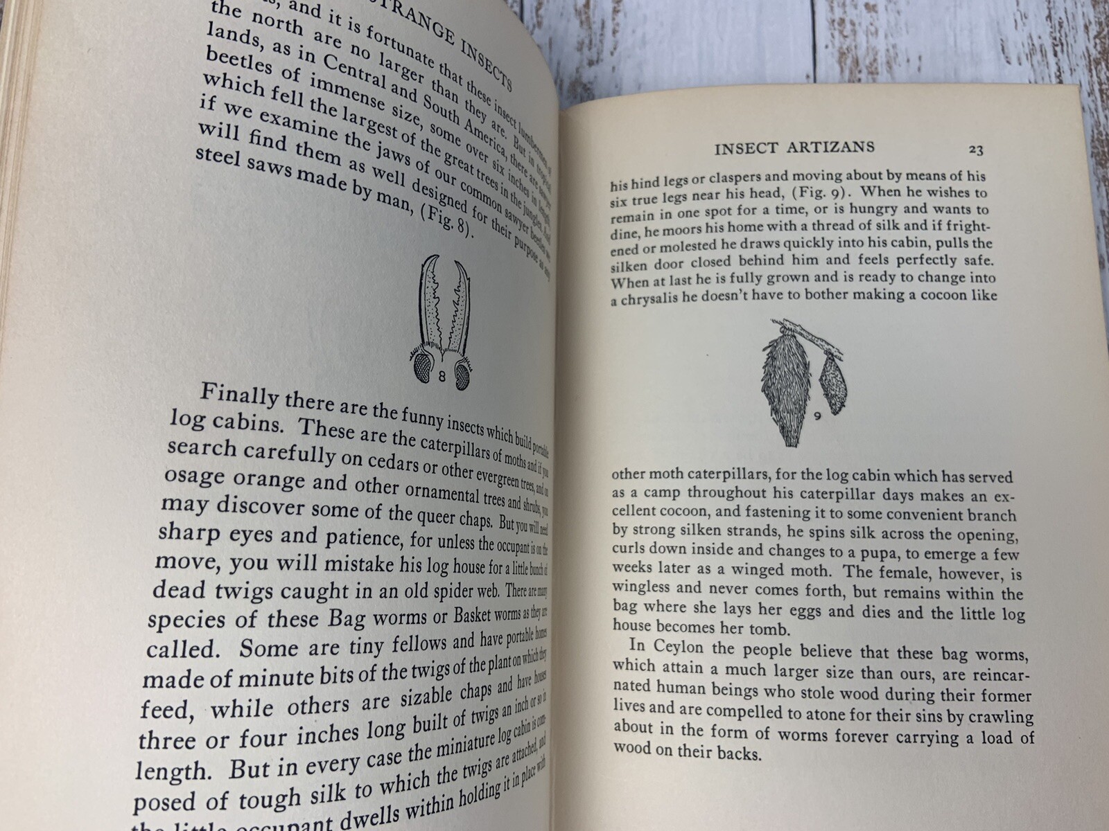 Strange Insects and Their Stories by A. Hyatt Verrill 1937 U.S.A. 205 Pages