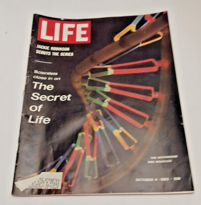 8 PCS Vintage Magazines Oversized 10.5×12.25&Prime; McCall&rsquo;s, The S.E. POST,LIFE, & BH