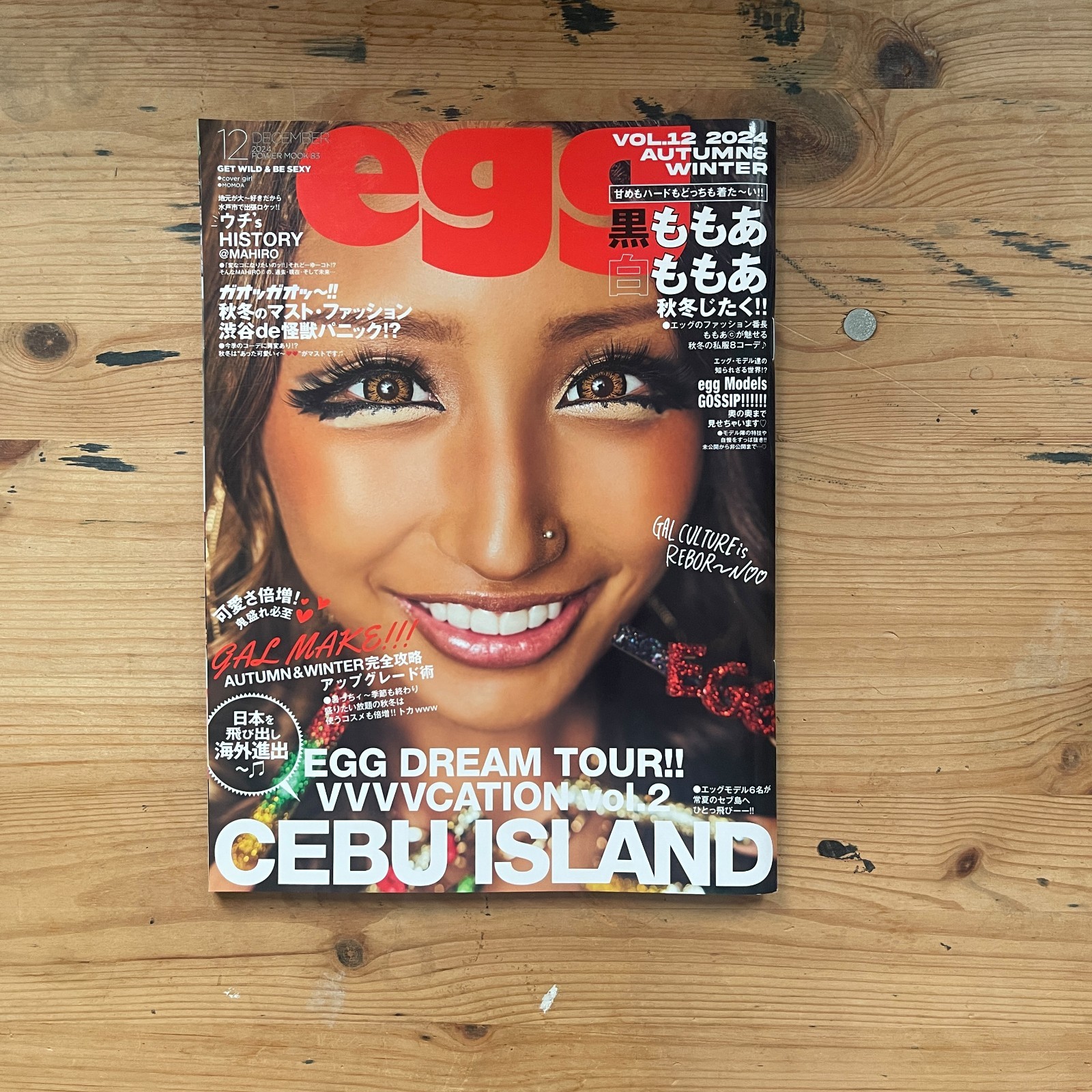 egg vol.12 power mook 83 2024 AUTUMN WINTER Taiyo Tosho Magazine