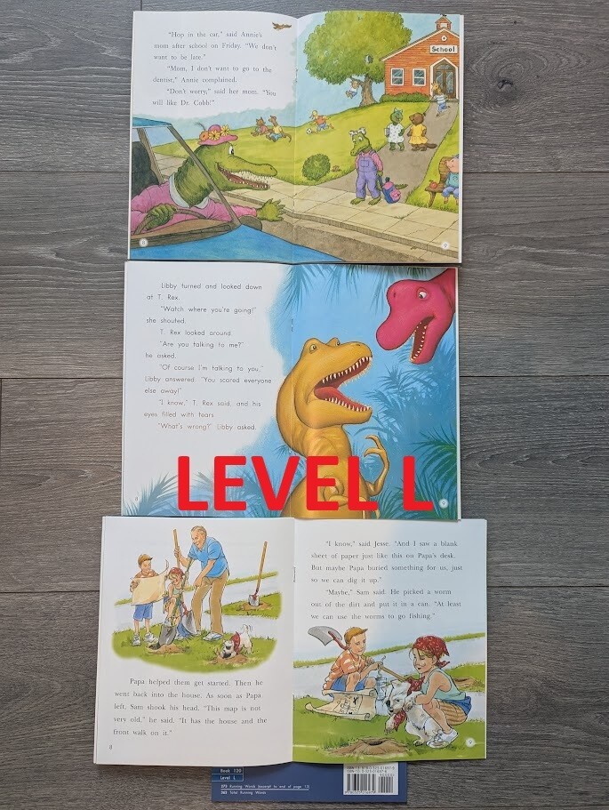 Fountas & Pinnell LLI BLUE SYSTEM Complete Set 1-120 Color Readers Level B-N NEW
