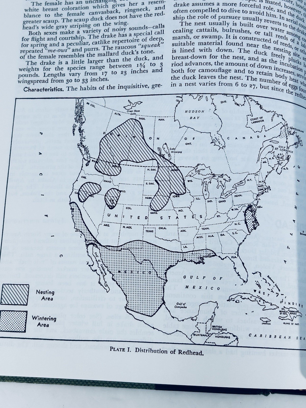 The New Hunters Encyclopedia 1972 3rd Edition 1054 Pages