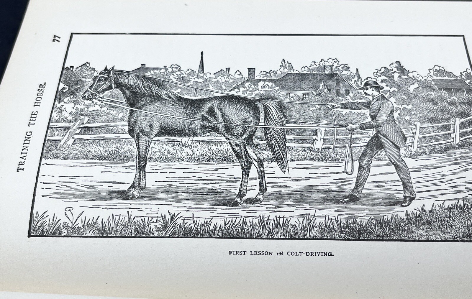 1918 HOW to HANDLE & EDUCATE VICIOUS HORSES-205 Pages-Oscar Gleason-Illustrated