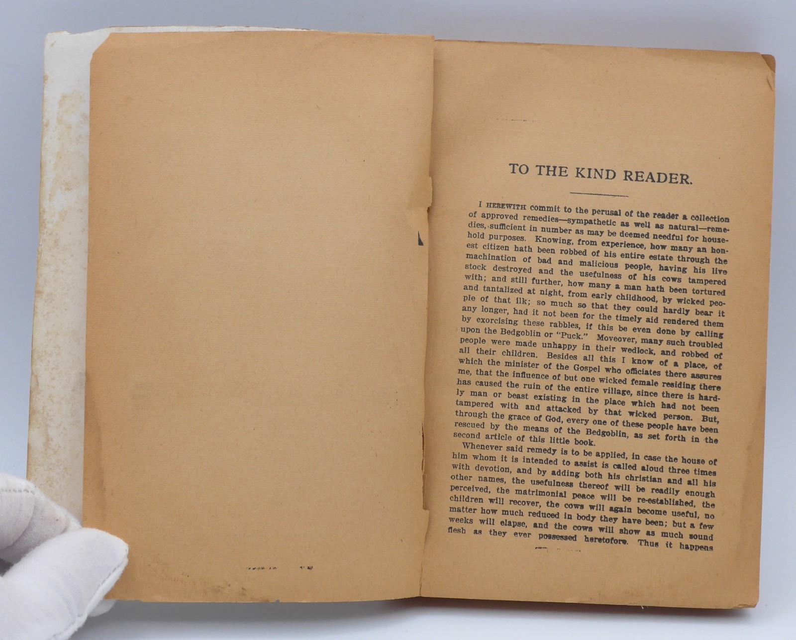 Egyptian Secrets by Albertus Magnus – All 3 Volumes in One – Circa 1900!