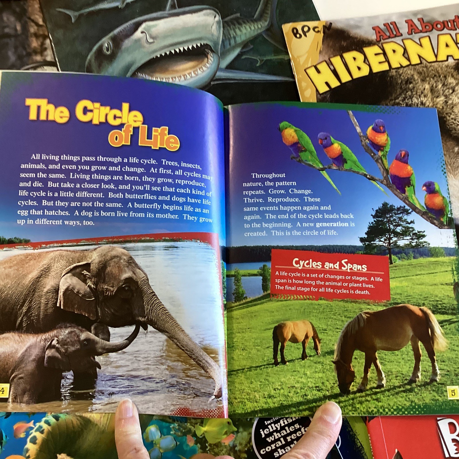 Children&rsquo;s Random Animal Science Nonfiction Education Classroom 20 Book Lot