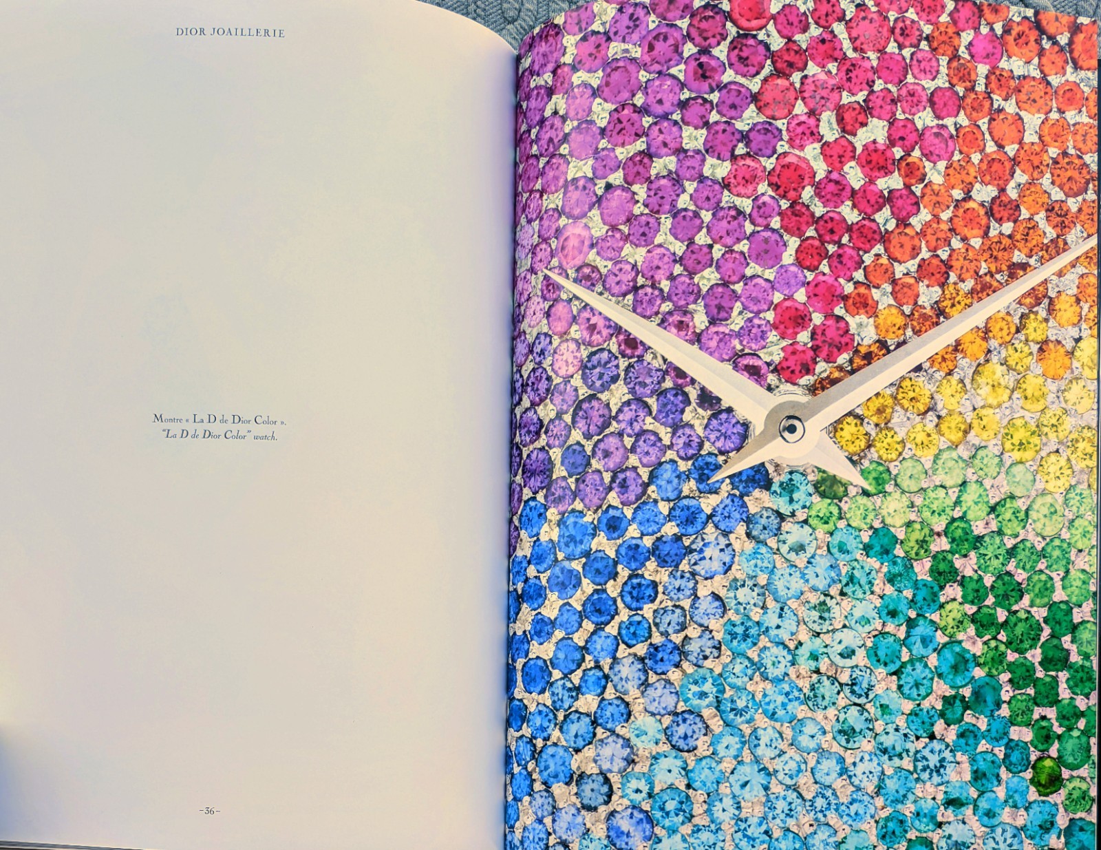 DIOR JOAILLERIE (2013) Hardcover/Color 67 Page Coffee Table Book ~ 12.25&Prime; x 9.5&Prime;