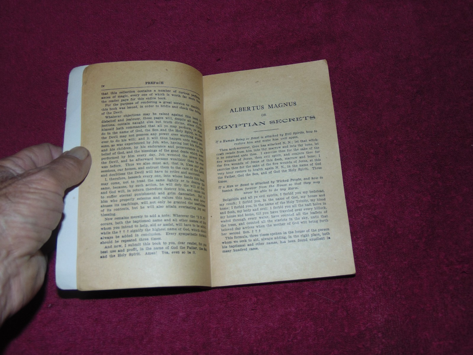 « ALBERTUS MAGNUS – EGYPTIAN SECRETS or WHITE AND BLACK ART FOR MAN AND BEAST »