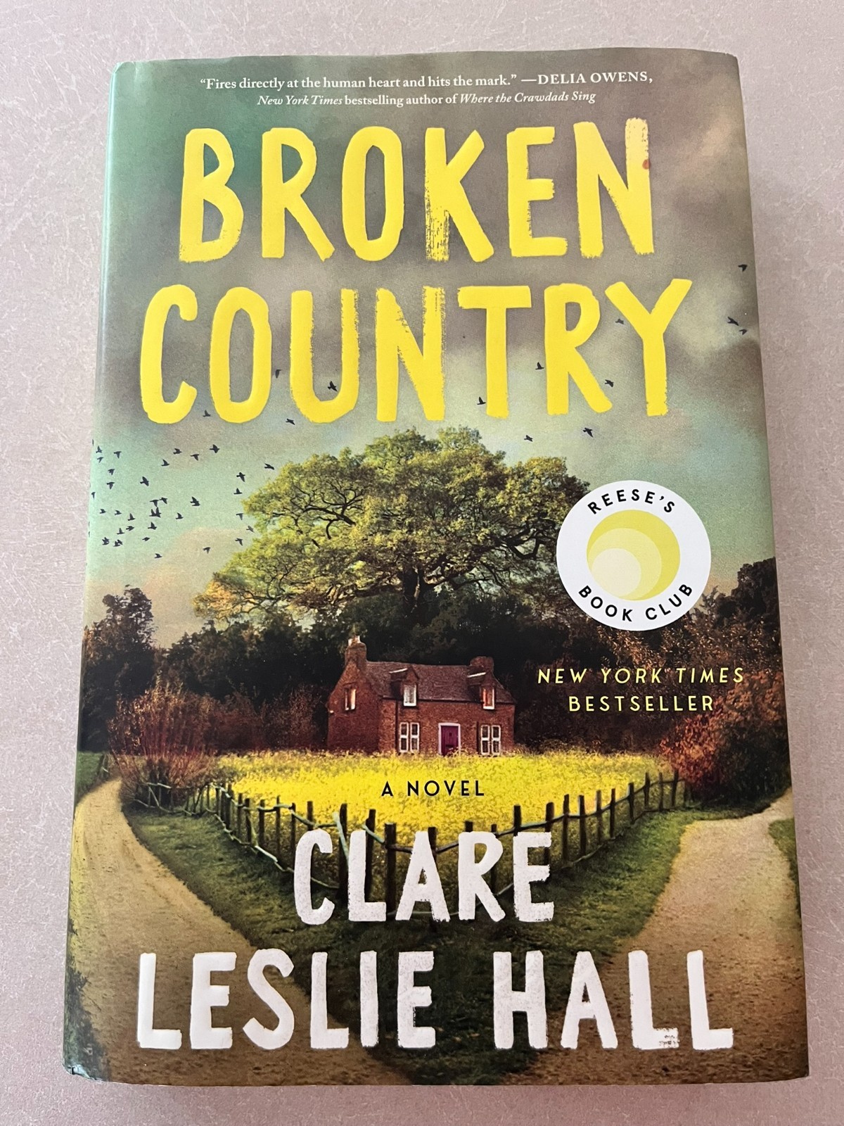 Broken Country (Reese&rsquo;s Book Club) by Clare Leslie Hall (2025, Hardcover)