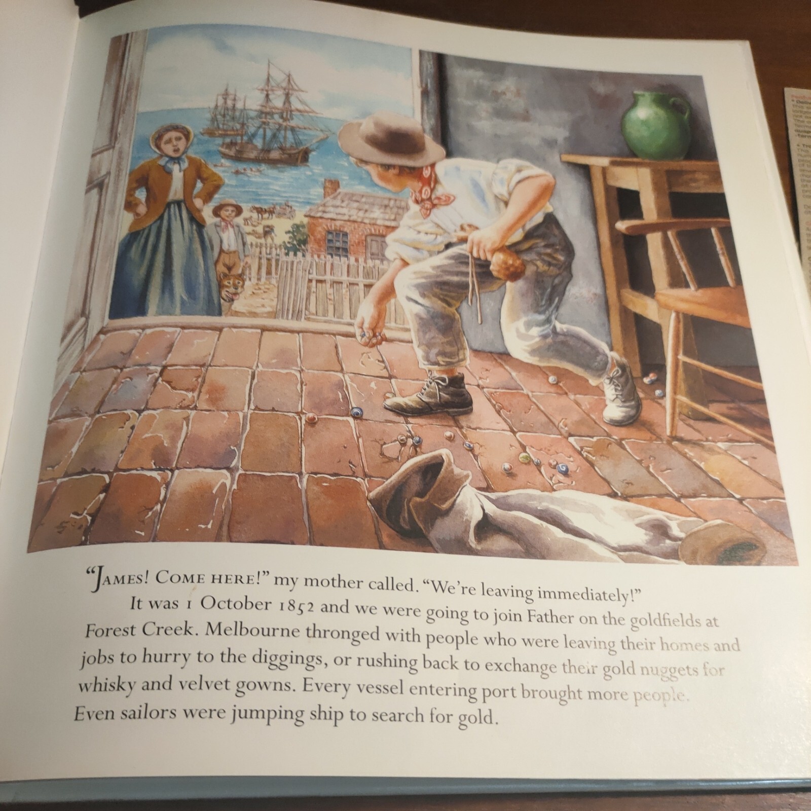 To the Goldfields! By Rachel Tonkin Hardcover Ex Library Illustrated
