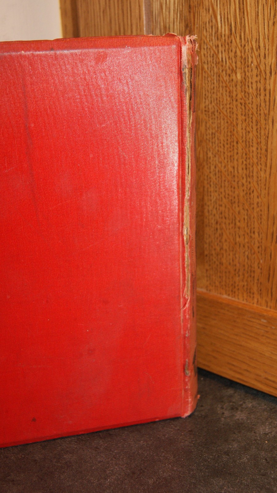 Antique Robinson Crusoe by Daniel Defoe – Red Ornate HC 120 Illustrations Paget