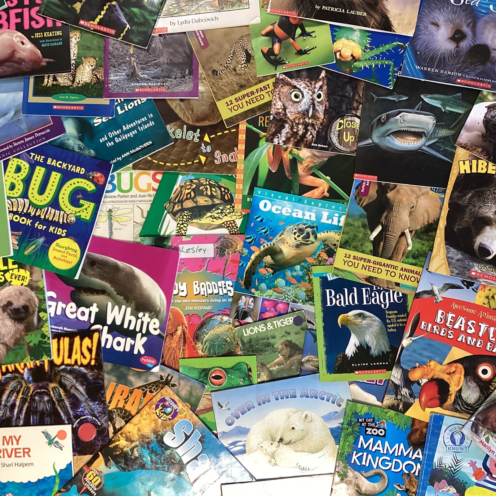 Children&rsquo;s Random Animal Science Nonfiction Education Classroom 20 Book Lot