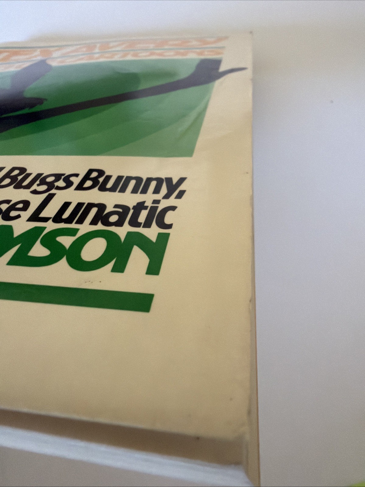 TEX AVERY: KING OF CARTOONS: The Man Who Created Bugs Bunny & Looney Tunes*RARE!