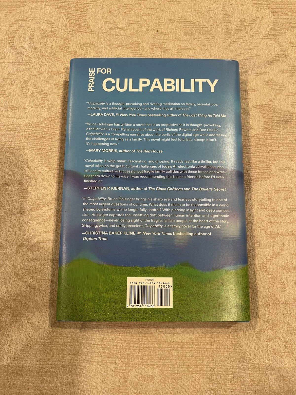 Culpability Bruce Holsinger Hardcover Book