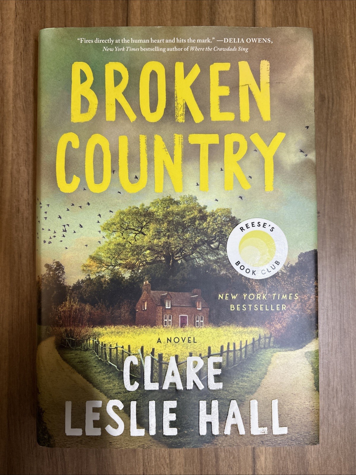 Broken Country (Reese&rsquo;s Book Club) by Clare Leslie Hall (2025, Hardcover)