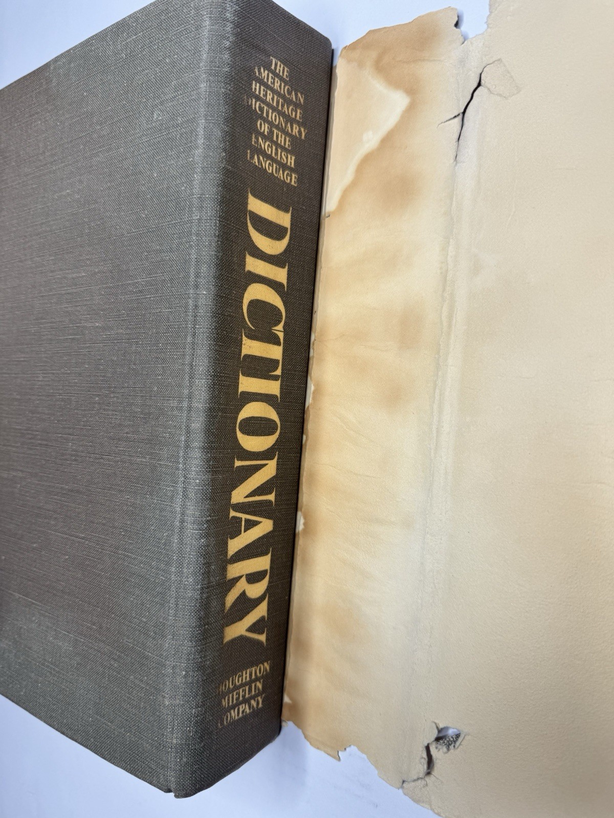 1969 The American Heritage Dictionary Of The English Language Good Rare